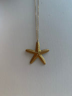 COROLINA STARFISH NECLAKE