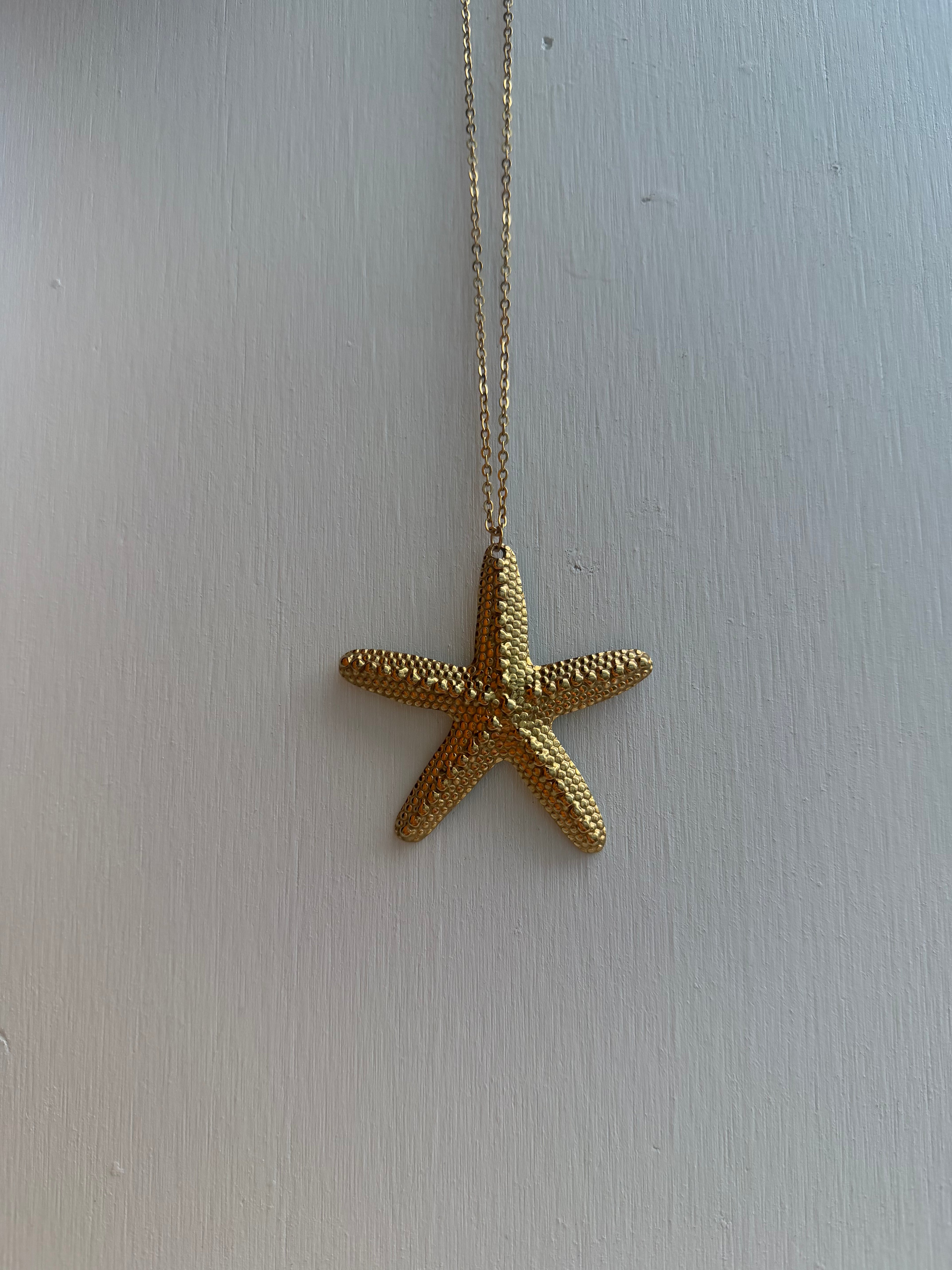 COROLINA STARFISH NECLAKE