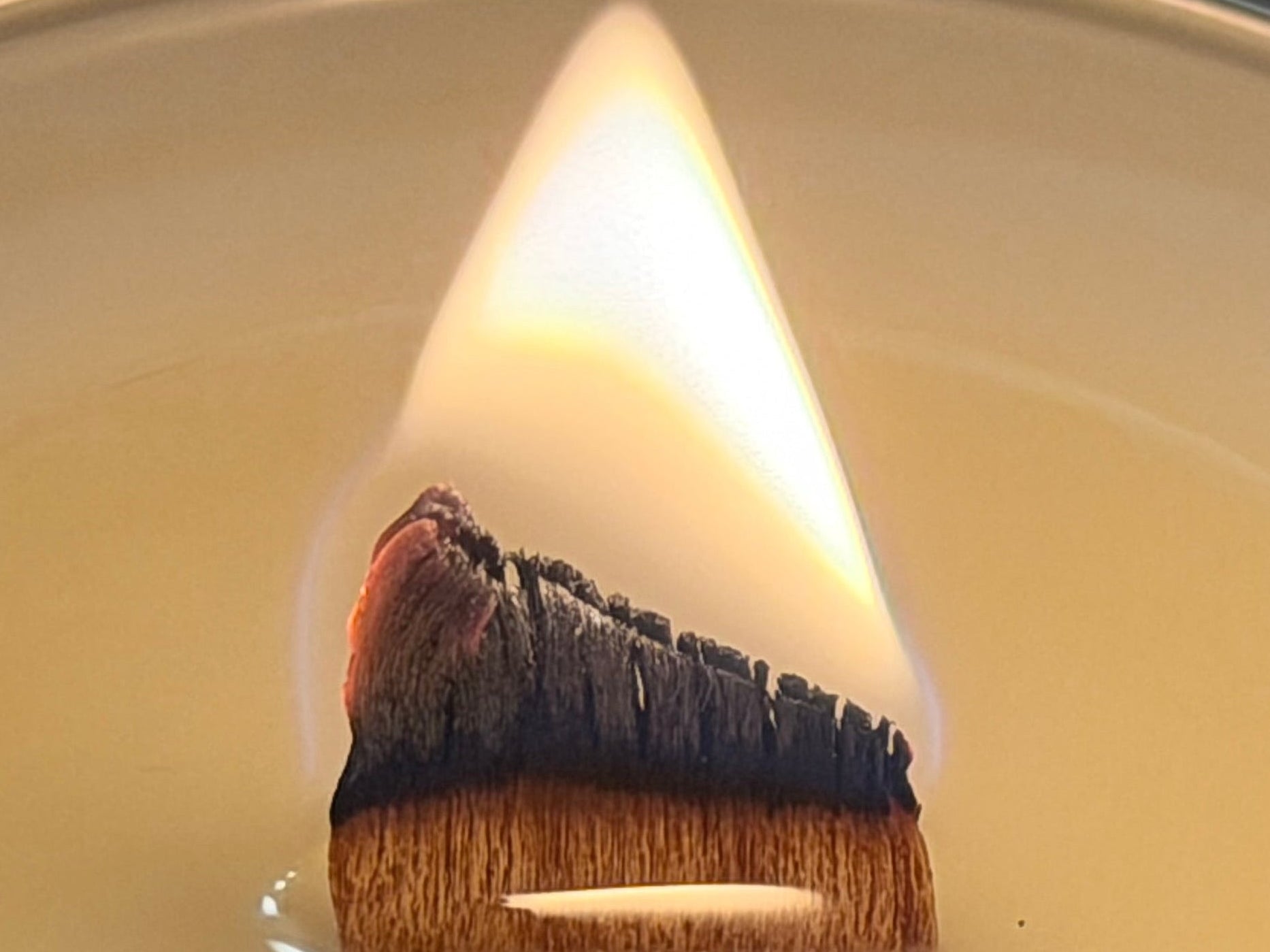 COCONUT ELEMENT TRAVEL TIN  CANDLE