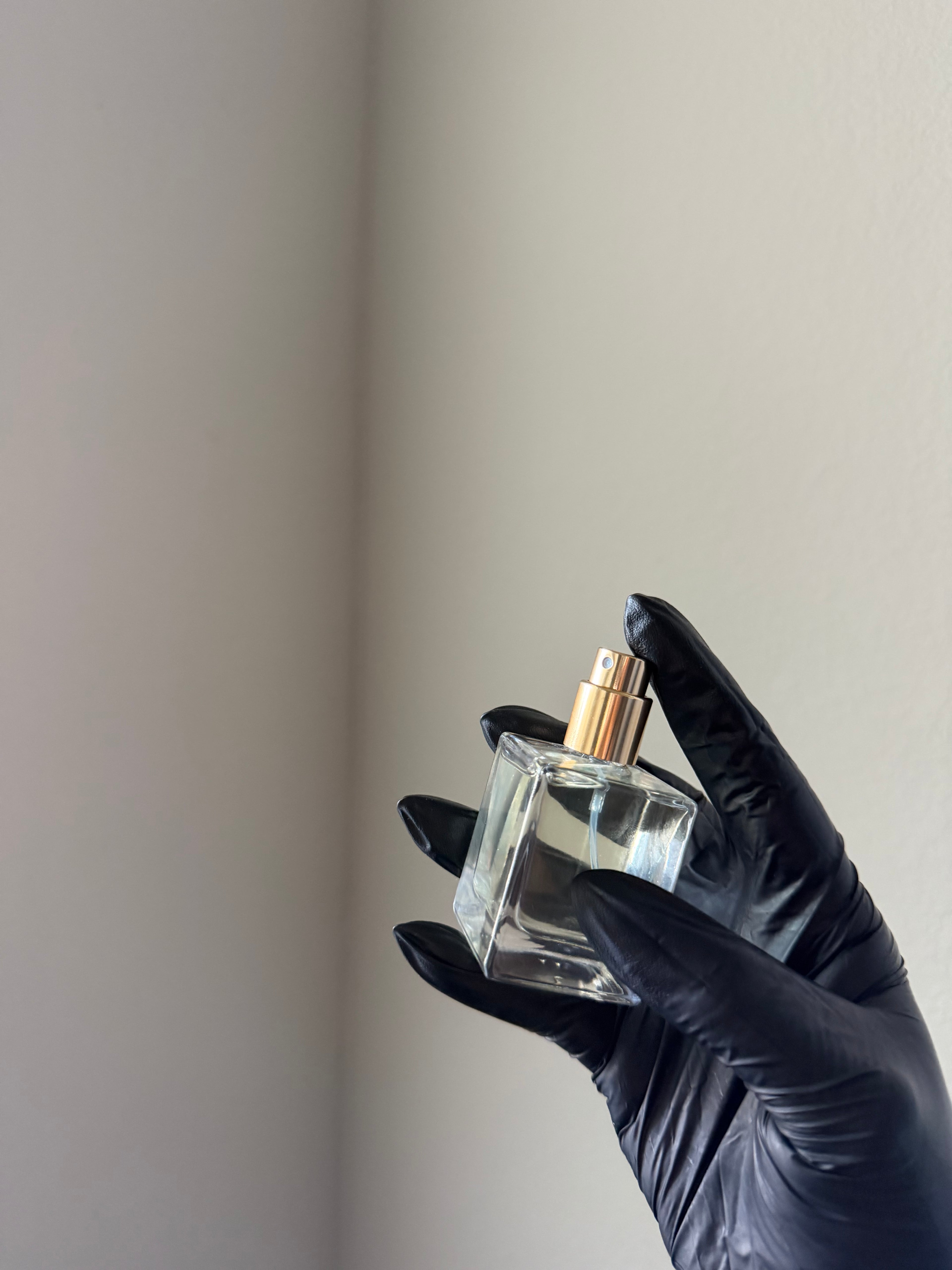 ONE MILLION  ELIXIR SPRAY PERFUME