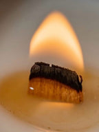 BERGAMONT ELEMENT SOY WAX CANDLE