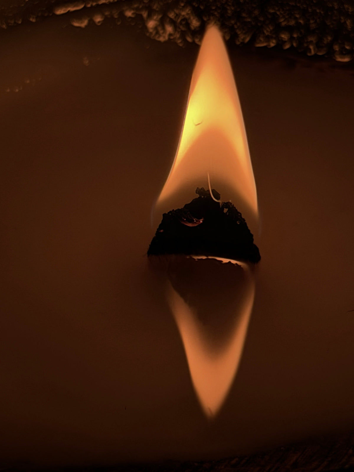 SACRED WOODS COCONUT SHELL CANDLE