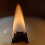 FRESH CINNAMON SOY WAX CANDLE