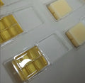 TROPICAL CAMU SOY WAX MELT SCENTED