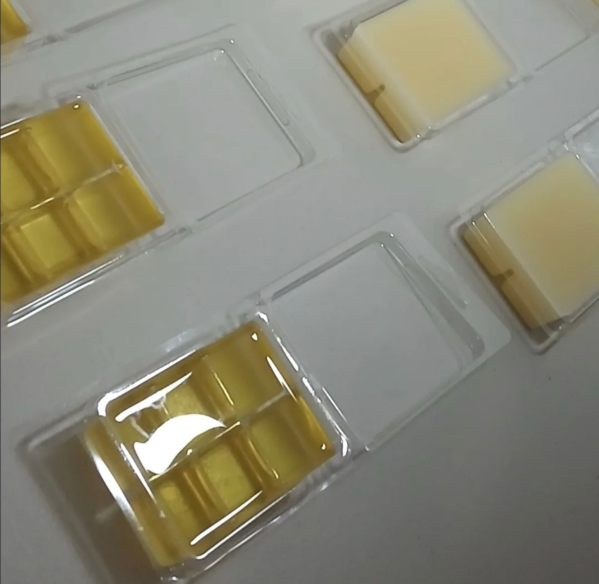 TROPICAL CAMU SOY WAX MELT SCENTED