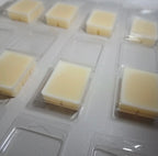 TROPICAL CAMU SOY WAX MELT SCENTED