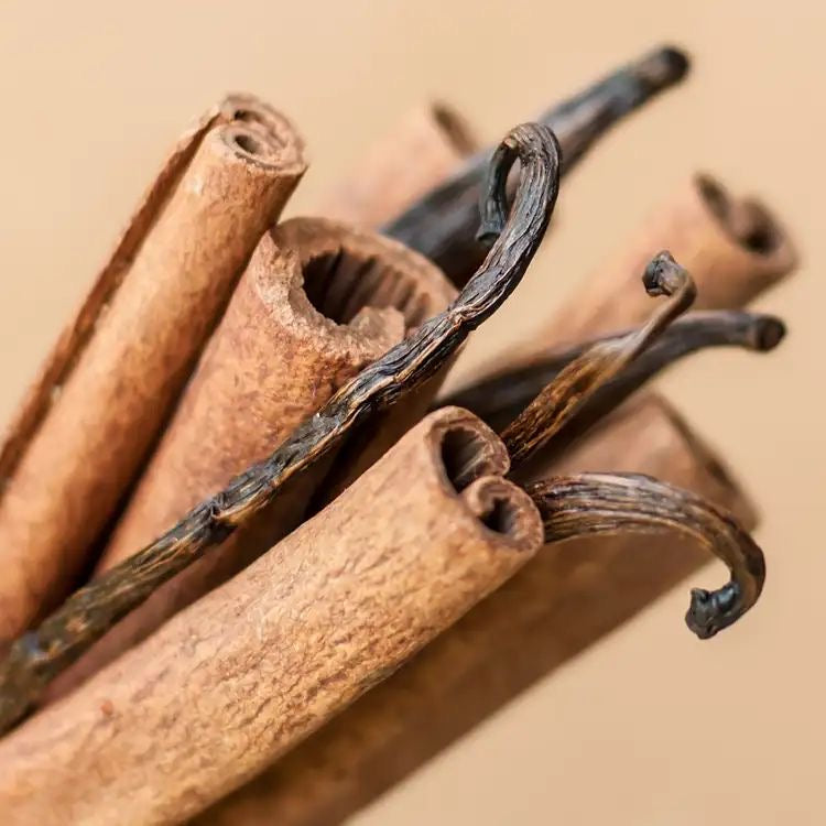 FRESH CINNAMON + VANILLA SOY WAX CANDLE