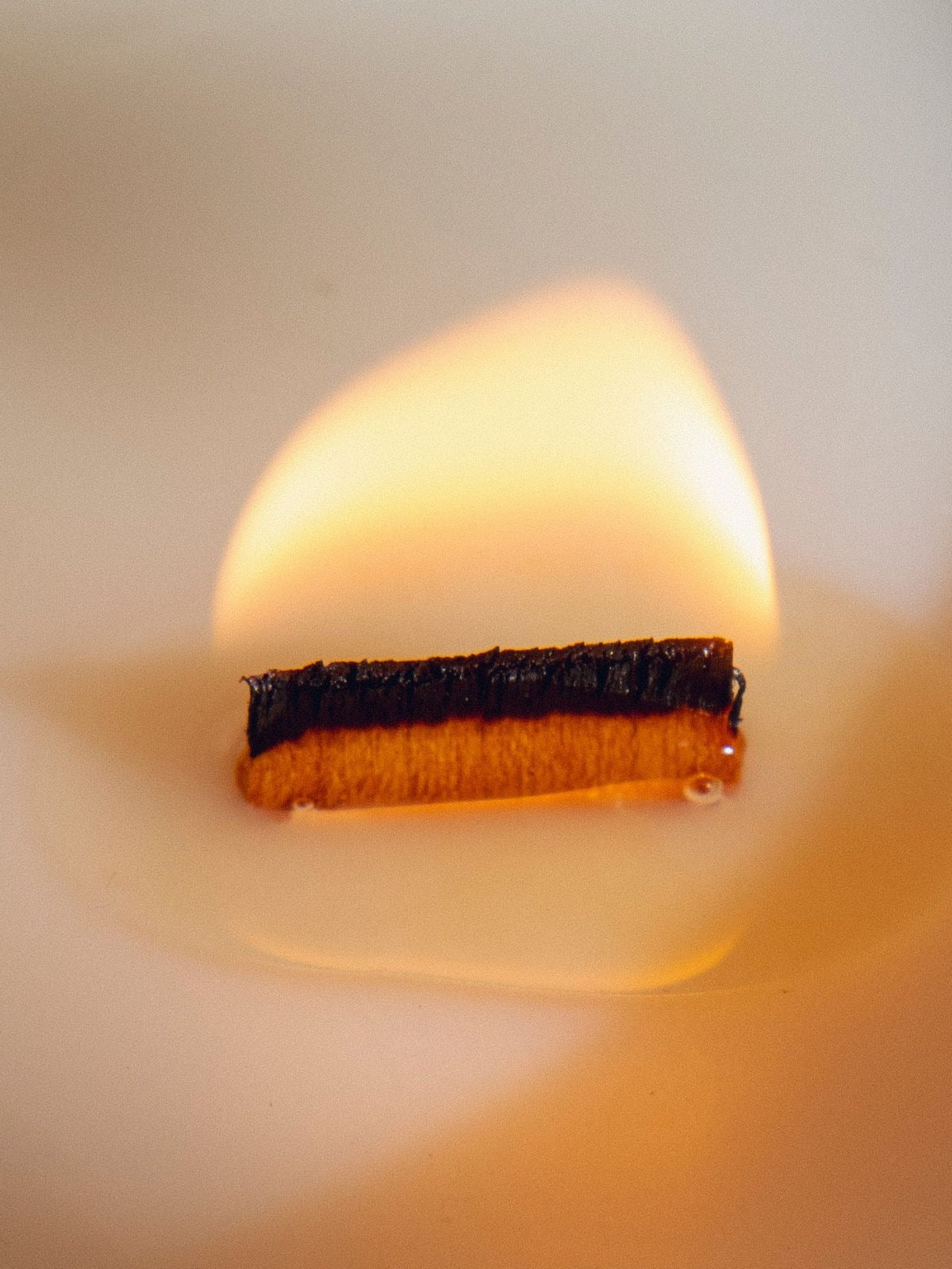 TROPICAL GLOW COCONUT SHELL CANDLE